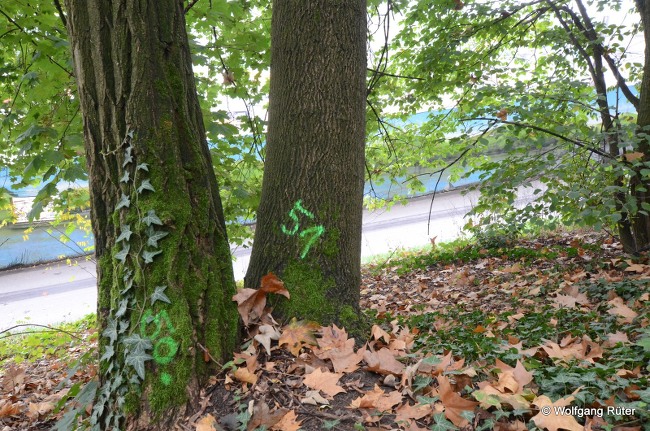 Fluchttreppen